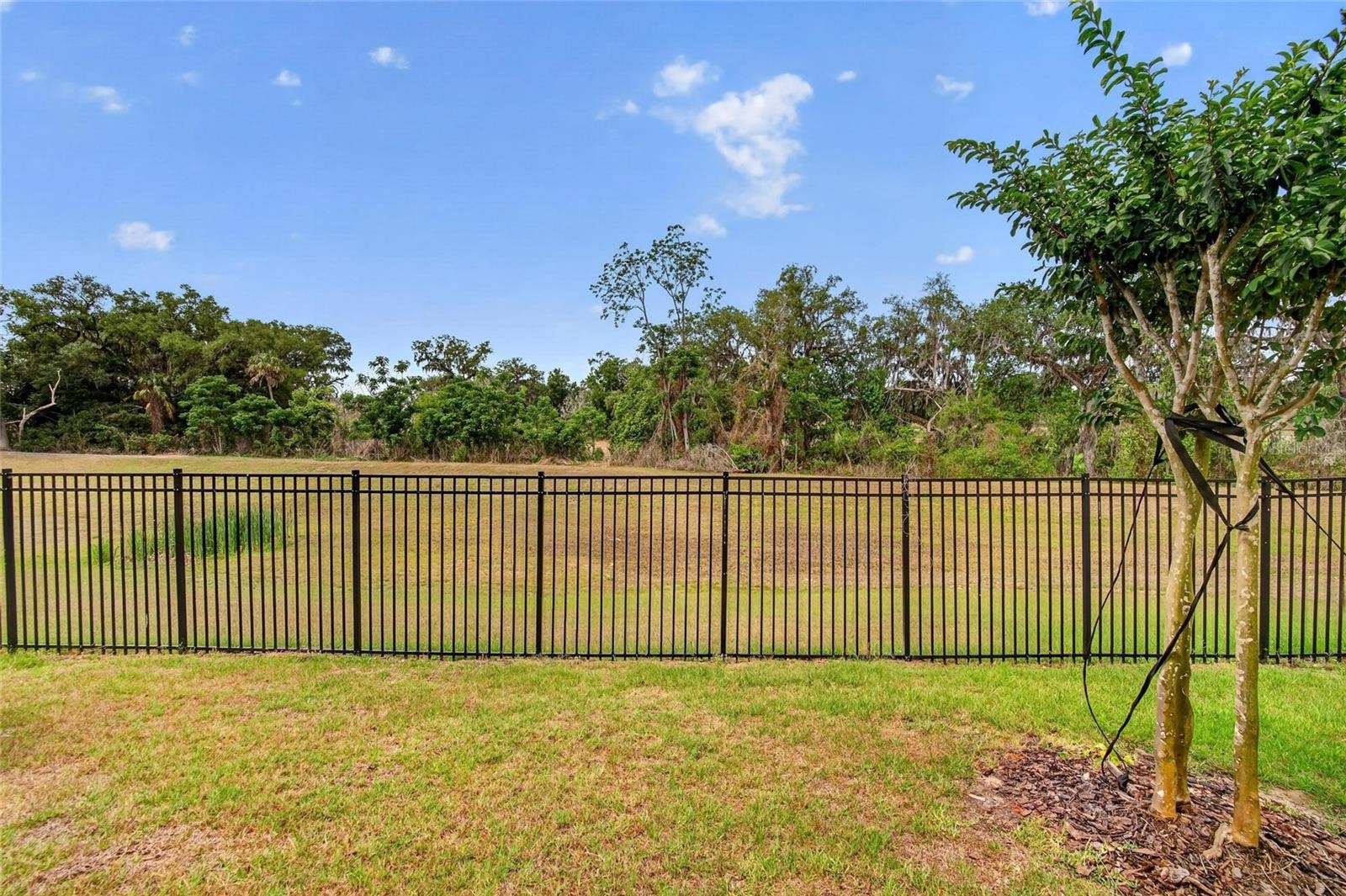 ๐๏ธ 4.75% Subto Townhome in Zephyrhills FL ๐ Up to $3,750/mo on Airbnb ๐ Solar + EV โ๏ธ Less than 6% Down ๐ช NO Pre-approval or Credit Check โ - photo 26