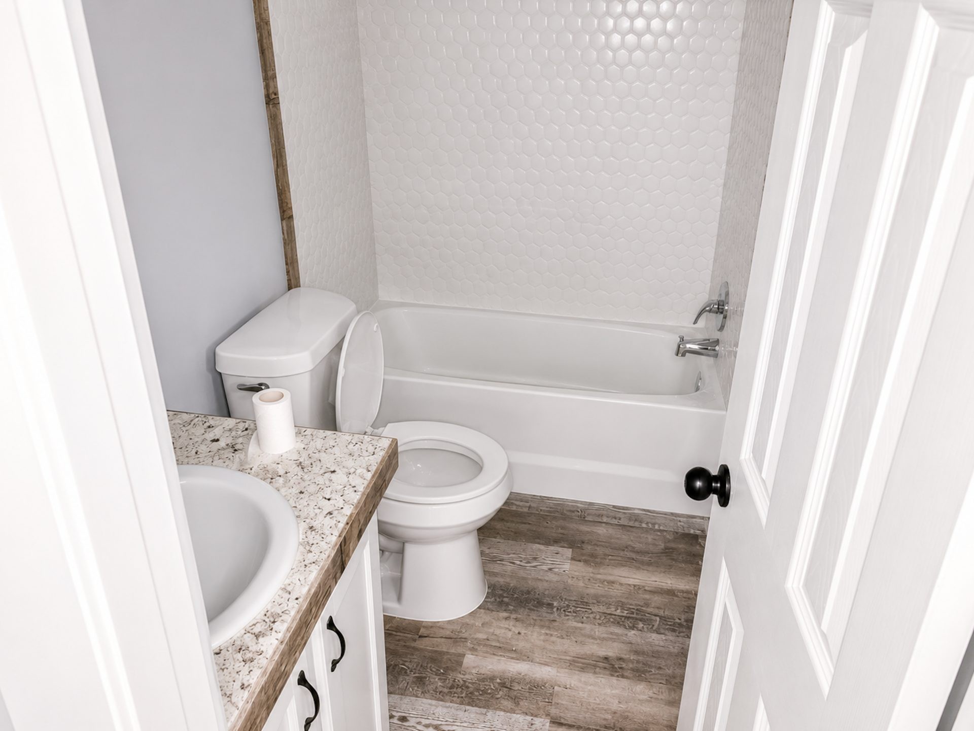 ๐ฅ Subject-To Manufactured Home in Talking Rock GA ๐ฅ๐ฅ Only $9k ENTRY ๐ต 4.625% Rate Already in Place, NO PMT TIL OCTOBER! ๐ 2/3 Acre Lot ๐ฒ NO Pre-approval or Credit Check ๐ซ - photo 14